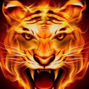 Meet your Posher, Danny